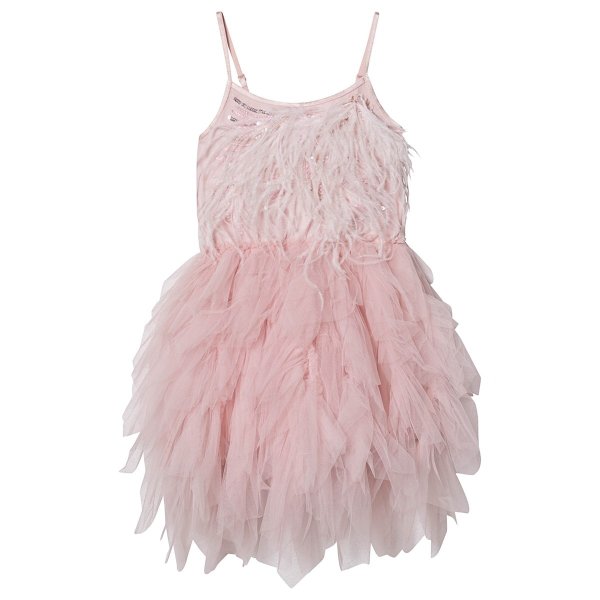 Pink Willow Wanderer Feather Embellished Tulle Dress | AlexandAlexa