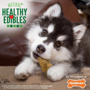 Nylabone Healthy Edibles Puppy Natural Long Lasting Dog Chew Treats Lamb & Apple Small/Regular (4 Count)