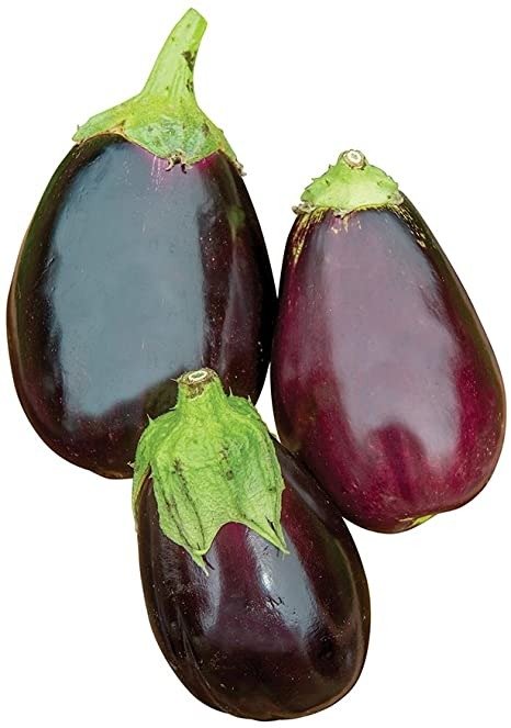 Black Beauty Eggplant Seeds 100 seeds