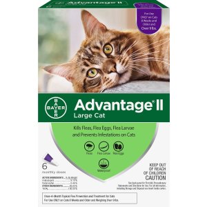 Bayer Advantage II 宠物猫体外驱虫药 6剂 促销