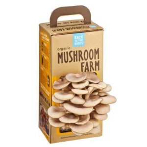 Back to the Roots Organic Mushroom Farm