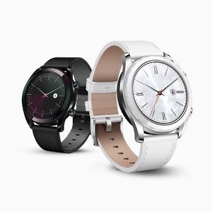 HUAWEI WATCH GT Elegant Steel Color Huawei Watch (One Week Endurance + Outdoor Sports Watch + Real Time Heart Rate + Sleep Monitoring + NFC Payment) White
