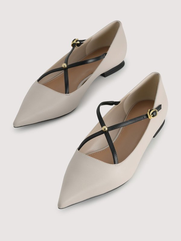 Pointed Toe Strappy Flats