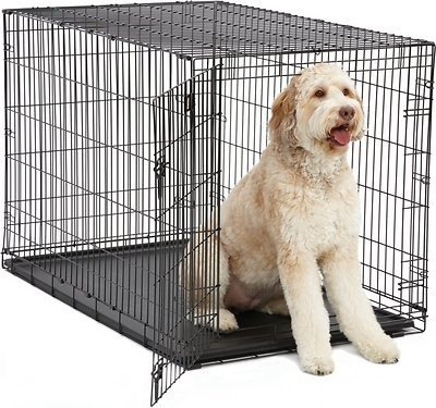 MidWest iCrate Single Door Fold & Carry Dog Crate