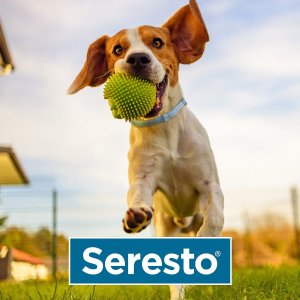 Seresto 宠物驱虫项圈 一个可持续使用8个月