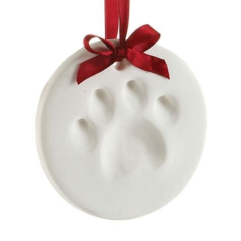 Pawprints Holiday Ornament Impression Kit For Dogs or Cats | Petco
