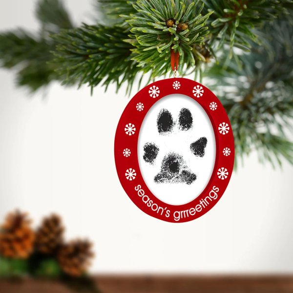 Double-Sided Photo and Pawprints Ornament For Dogs or Cats | Petco