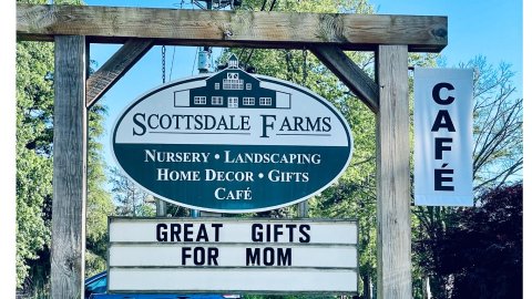 Scottsdale Farms 可盐可甜De苗圃+家居+Cafe|ATL城市探店