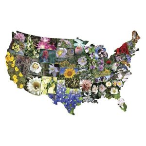 美国国花及各州州花完整版（下）