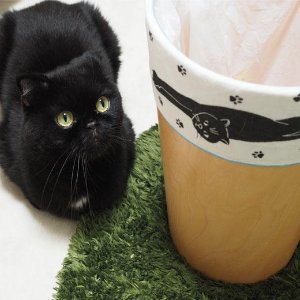 FELISSIMO官网 猫咪随处不在 猫猫垃圾桶固定围布 热卖