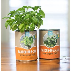 Back to the Roots Garden-in-a-Can Grow Organic Herbs Variety Pack, Basil/Cilantro/Dill/Sage, 4 Count