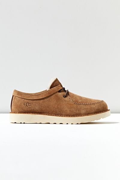 UGG Campout Low Chukka Boot