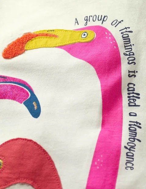Animal Fact Applique T-Shirt - Ivory Flamingos | Boden US