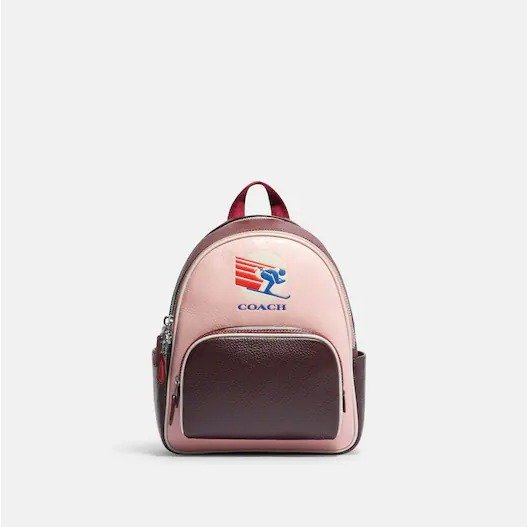 Mini Court Backpack In Colorblock With Ski Speed Graphic