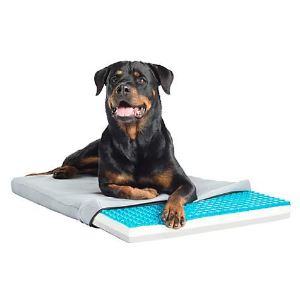 Petco Selected Dog Cooling Solutions on Sale