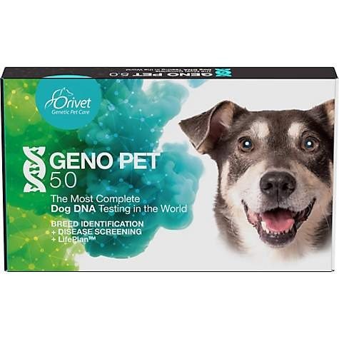 Orivet Geno Pet 5.0 Dog DNA Test | Petco