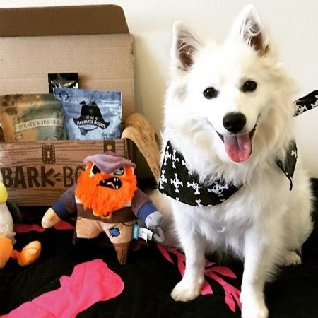 BarkBox 6 or 12 Month Subscription