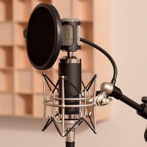 Marantz Professional MPM-2000 Large-Diaphragm Condenser Microphone