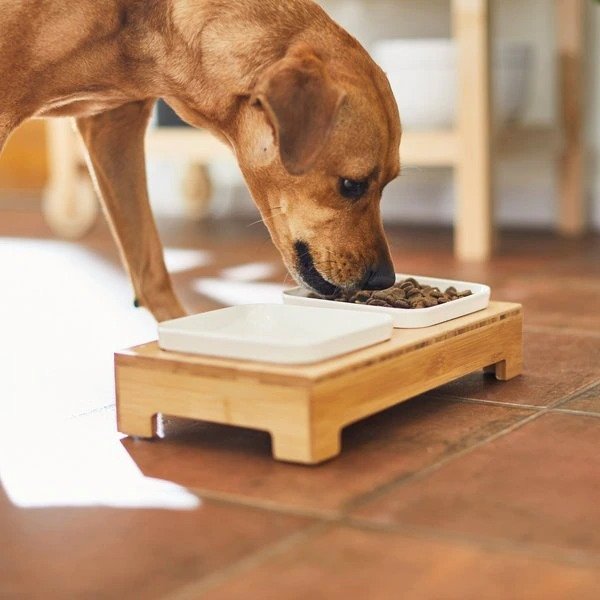 Square Melamine Dog & Cat Bowl Set with Bamboo Stand