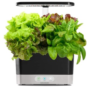Today Only: AeroGarden Harvest With Heirloom Salad Greens Pod Kit