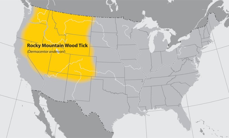 Rocky Mountain Wood Tick 美国蜱虫分布