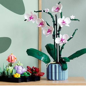 LEGO Orchid 10311, Succulents10309