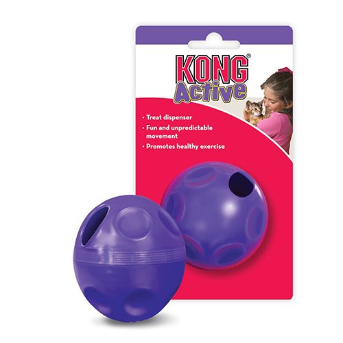 Buy Kong Active Treat Ball for Cats