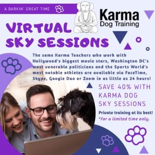 Karma Dog Training - 休斯顿 - Houston