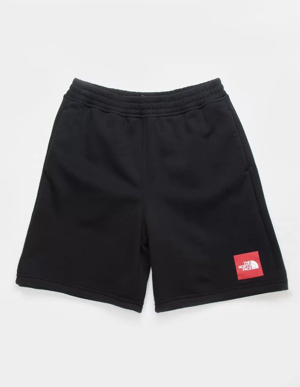 THE NORTH FACE Camp 男童短裤