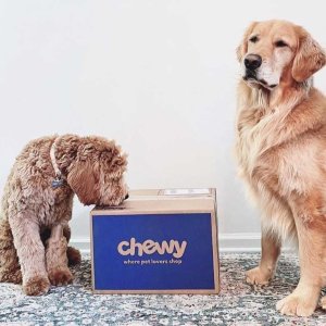 Chewy 海量狗子玩具零食等促销 美味猪耳朵仅$1.6 玩具球2个$9