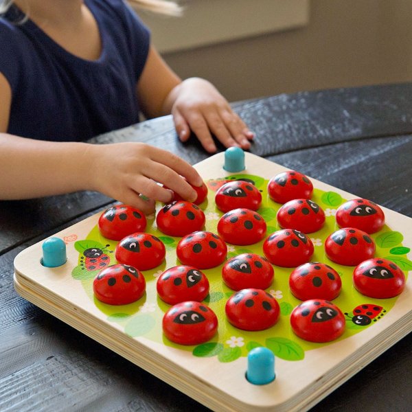 Ladybug's Garden Memory Game - Best Games for Ages 3 to 4