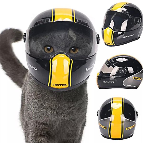 16.19US $ 50% OFF|LVTUBANLV Handsome Pet Helmet,Cute Cat Dog Cap Outdoor Anti Collision Mini Motorcycle Helmet Cat Dog Styling Photo Props Pet Hat| | - AliExpress