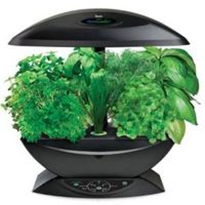 Miracle-Gro AeroGarden 7-Pod Indoor Garden with Gourmet Herb Seed Kit, Black 