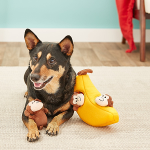 ZippyPaws Selected Dog Toys on Sale