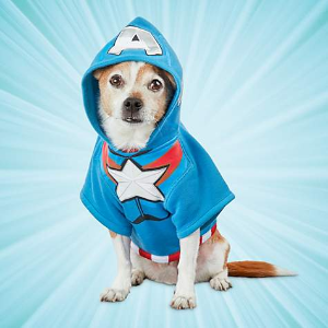 Petco Marvel Pet Fan Collection