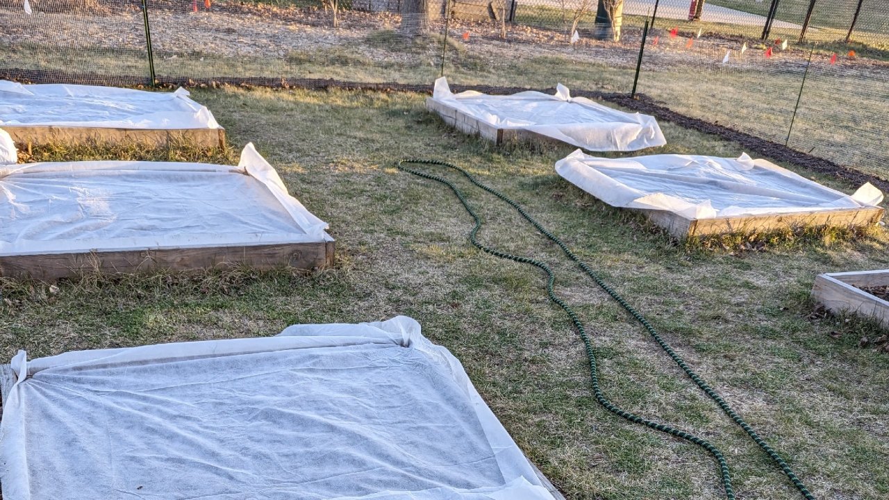 Week 10: Planting before Last Frost Day