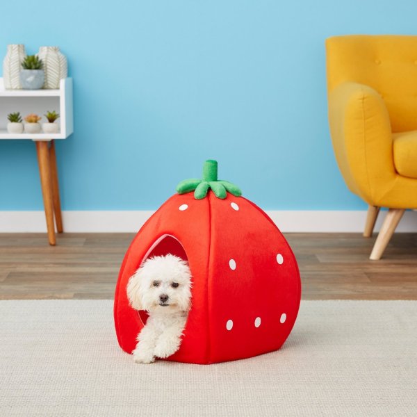 YML Strawberry Covered Cat & Dog Bed, Small - Chewy.com