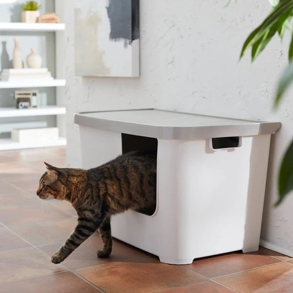 Multi-Function Covered Cat Litter Box, 29-in, With Tray - Chewy.com