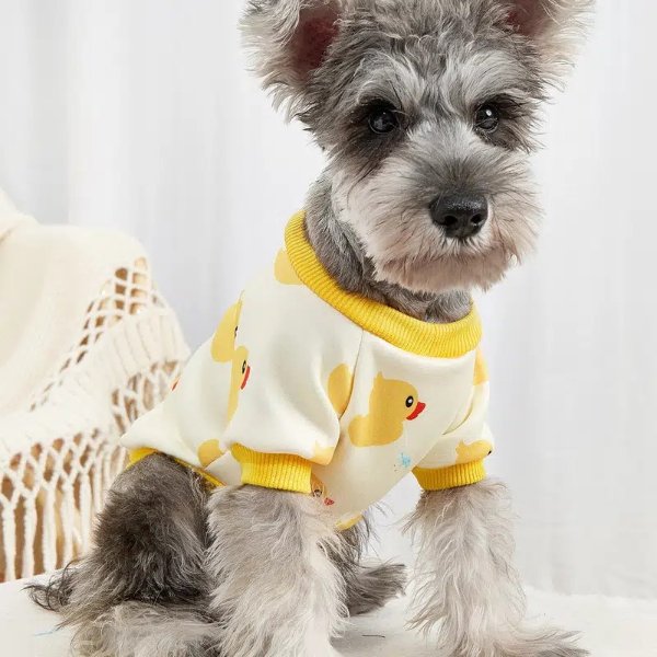 Pet Clothes For Dog Cat Cute Cat Sweater Dog Hoodie With Yellow Duck Pattern Winter Pet Apparel | Check Out Today's Deals Now | Temu