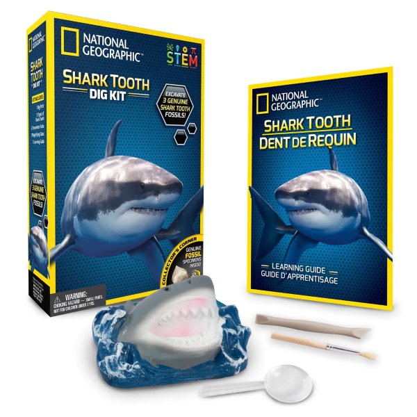 National Geographic© Shark Tooth Dig Kit