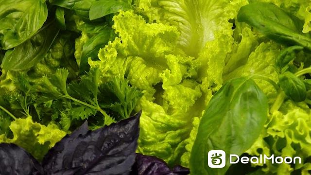 green.png