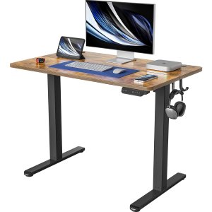 FEZIBO Height Adjustable Electric Standing Desk, 48 x 24"