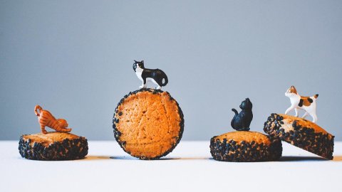 父亲节献礼💝 | 味增黄油芝麻曲奇🍪满口咸甜香酥～