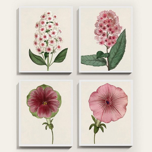 Pink Florals Botanical Painting Print Series