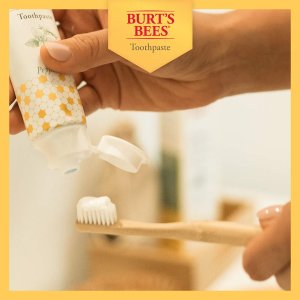 Burt's Bees Toothpaste, Natural Flavor, Fluoride Free