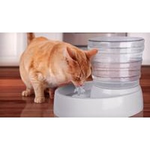 Animal Planet Automatic-Flow Pet Water Fountain