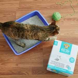 Cat Litter on Sale @ Chewy