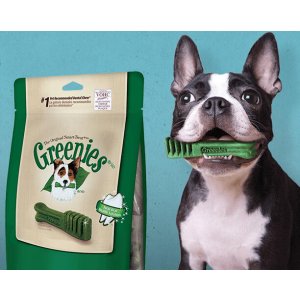 Greenies 宠物狗磨牙棒/零食 (36 oz, 3 包) 