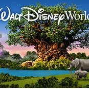 奥兰多 Walt Disney World 佛州居民2日票