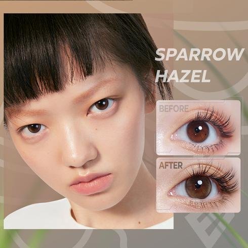 Sparrow Hazel Contacts one month CAN Collection (1pair/2pcs)